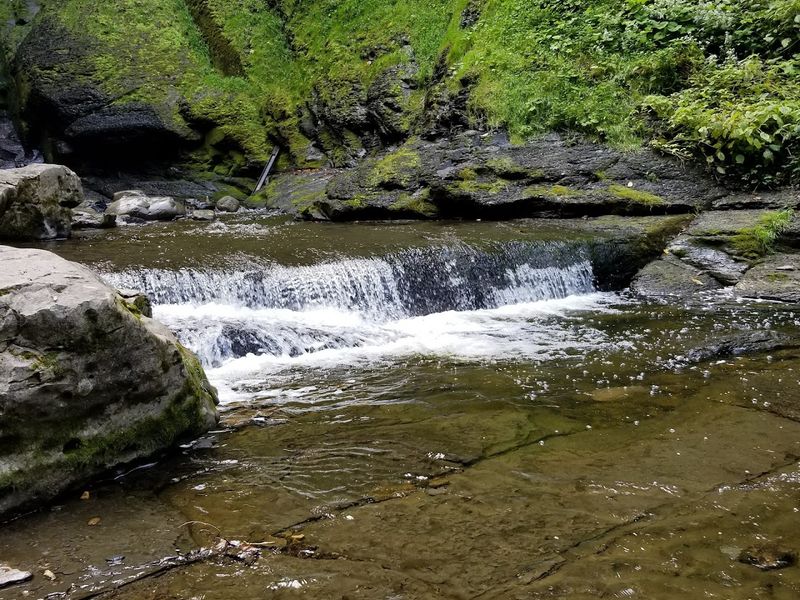 Creek Walking and Mini Waterfalls