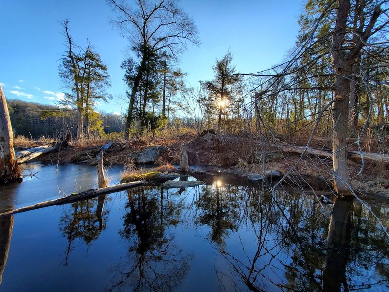 Cross-Country Skiing and Winter Trails Worth Braving the Cold For