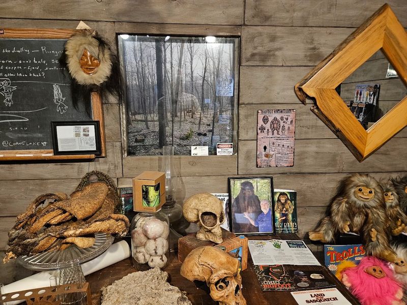 Cryptozoology and Folklore That Will Fascinate Curious Minds