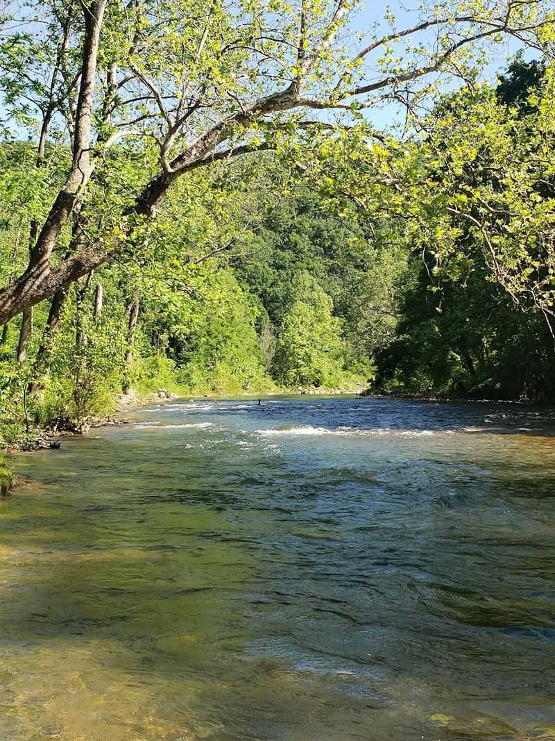 Crystal-Clear Creek Views That Take Your Breath Away