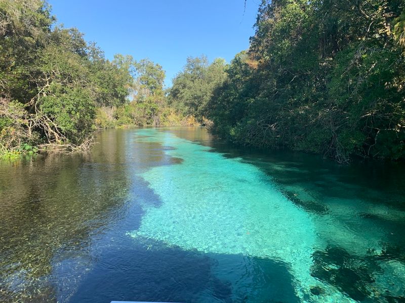 Crystal-Clear Natural Spring Swimming Area