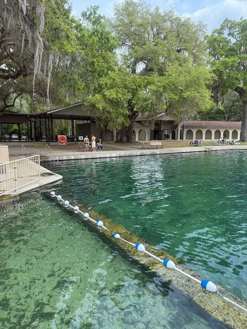 Crystal-Clear Spring Water Swimming Area