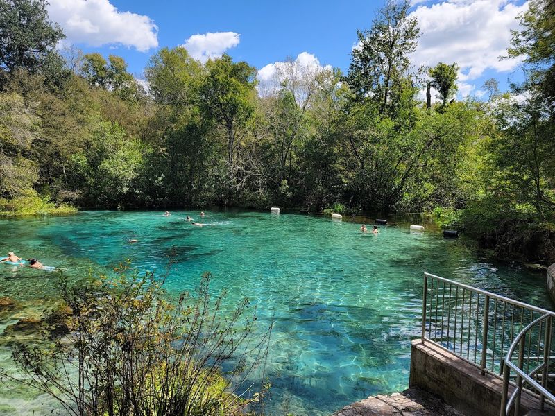 Crystal-Clear Spring Water That Feels Like Nature's Own Swimming Pool
