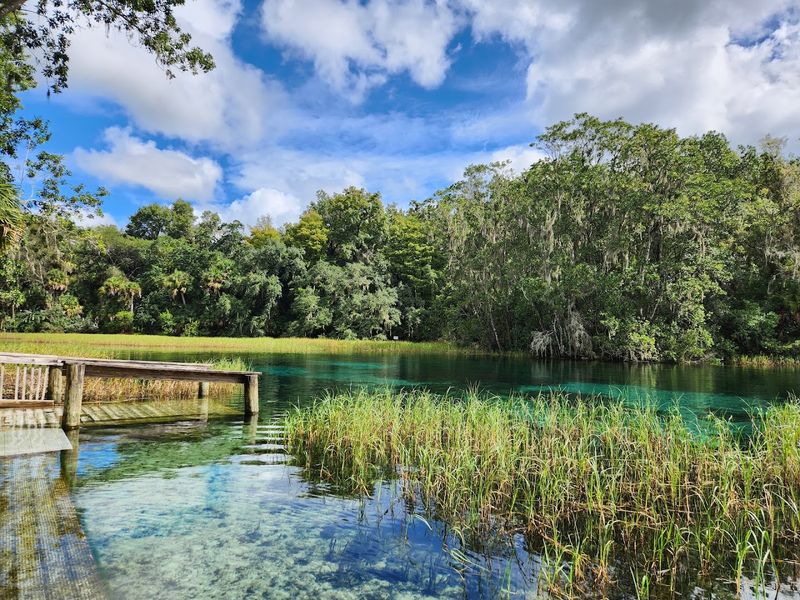 Crystal-Clear Spring Water That Looks Almost Unreal