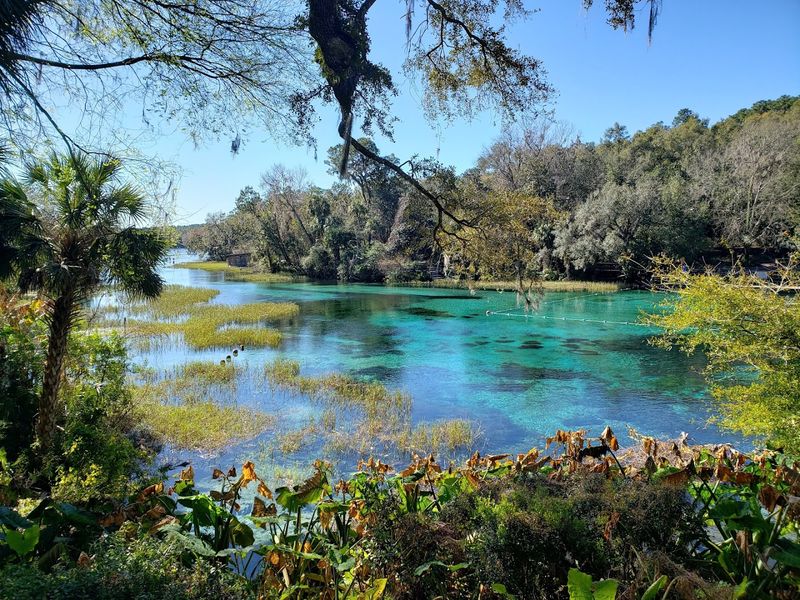 Crystal-Clear Spring Water That Stays 72 Degrees Year-Round Crystal-Clear Spring Water That Stays 72 Degrees Year-Round