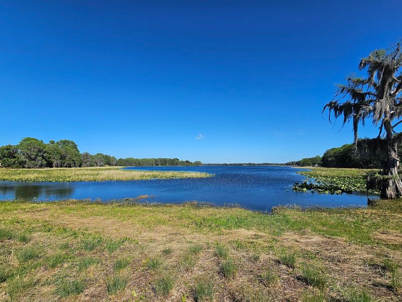 Crystal River and Natural Springs Nearby