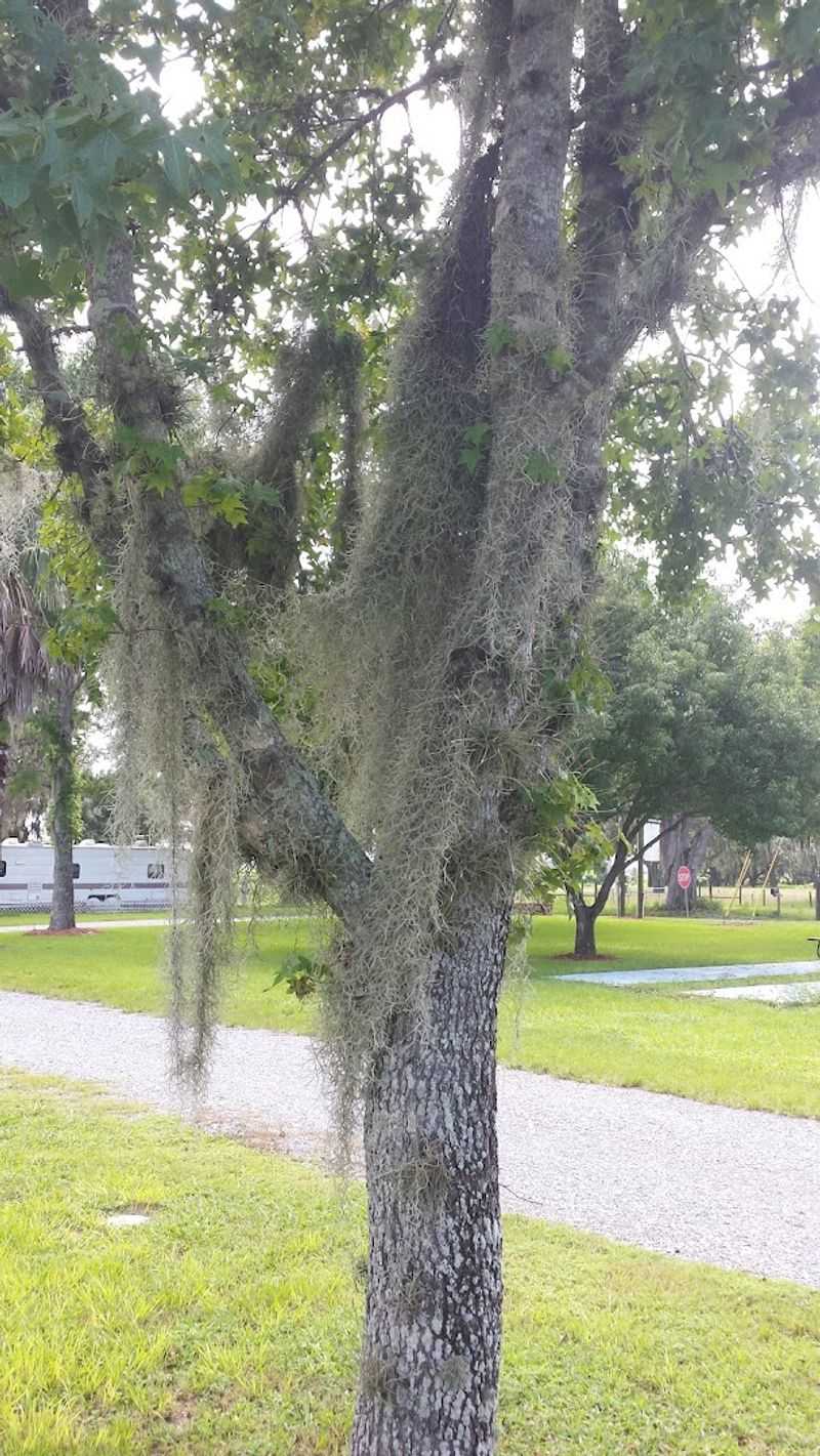 Cycling the Withlacoochee State Trail