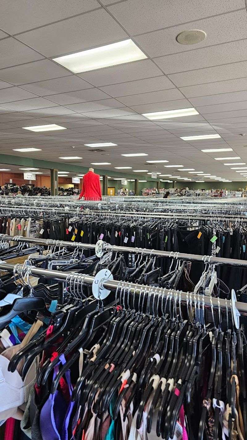 Daily Sales and Color Tag Discounts That Stretch Every Dollar