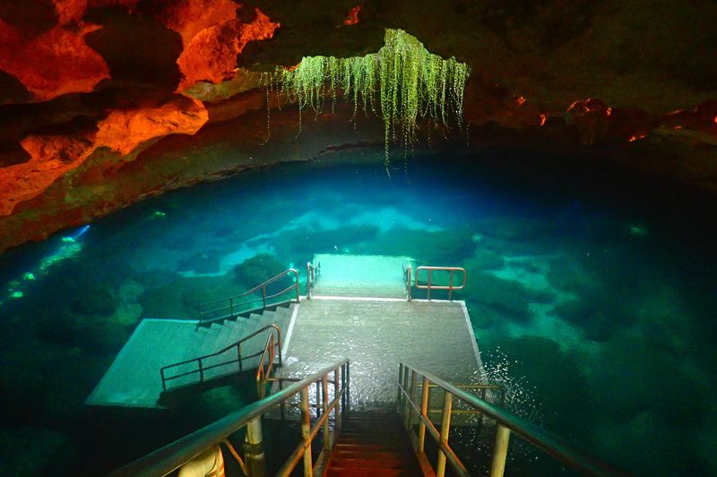 Devil's Den Prehistoric Spring - Williston, Florida