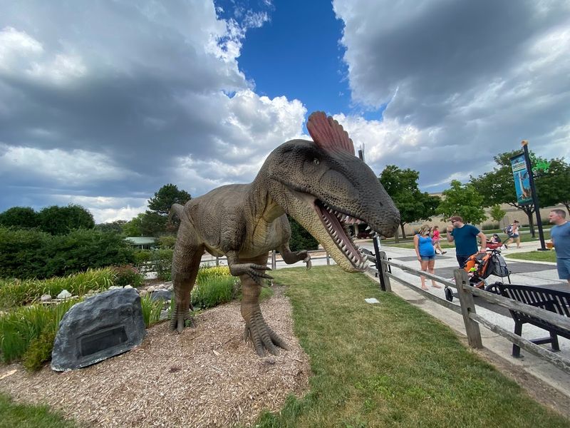 Dinosaur Displays Hidden Throughout The Park