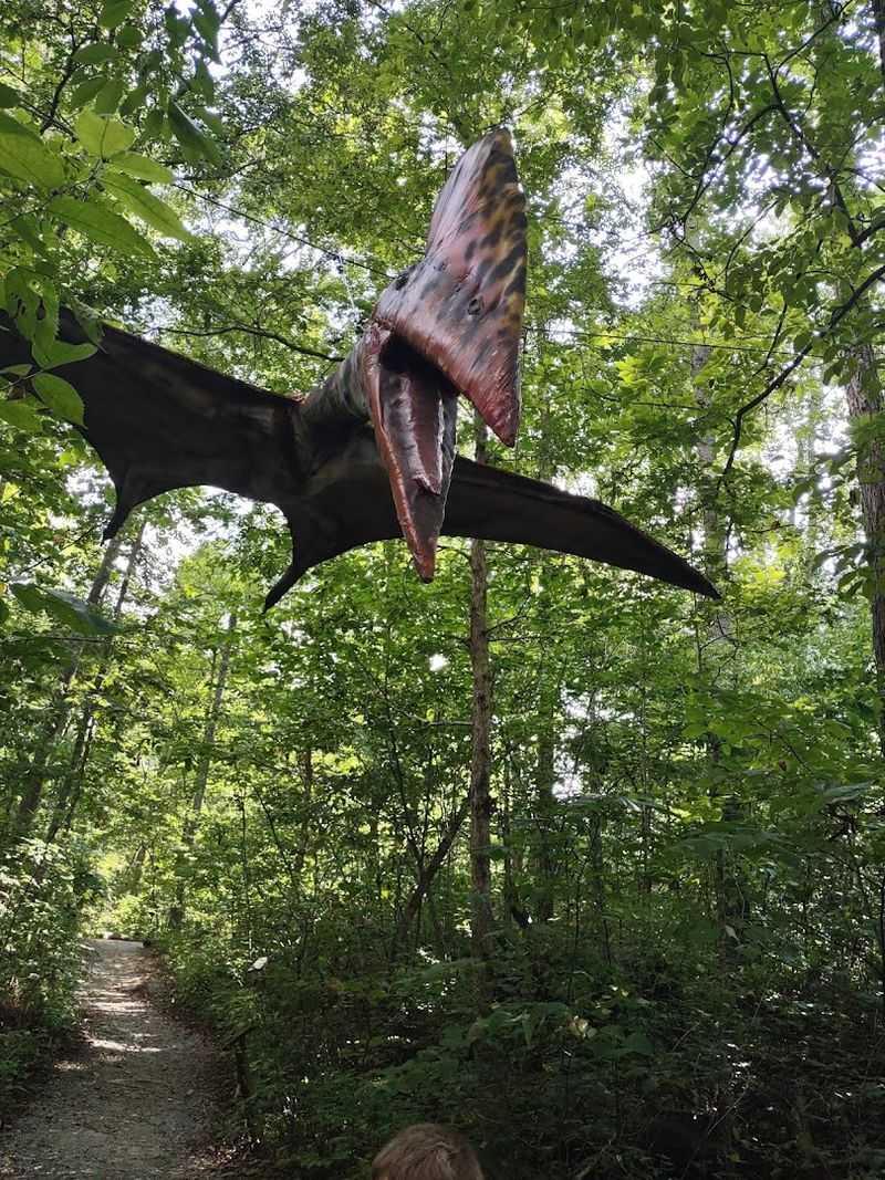 Dinosaurs Hidden in Trees and Unexpected Places