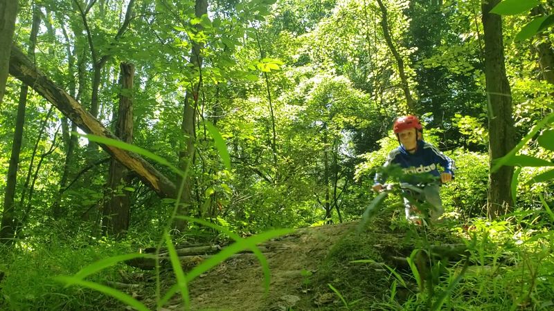 Disc Golf Course Spread Through the Woods