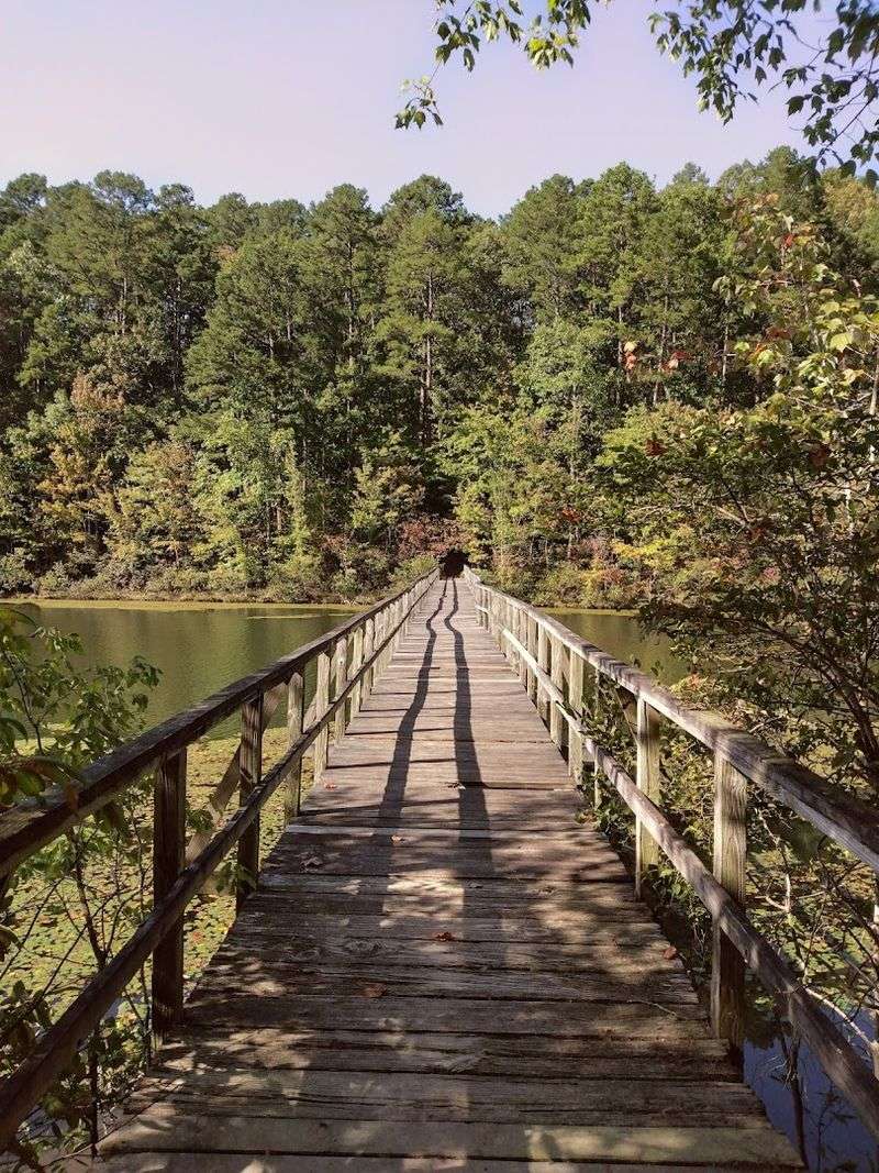 Disc Golf Course for a Fun Twist on Outdoor Play