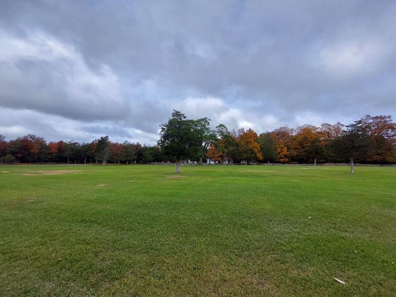 Disc Golf for Beginners and Casual Players