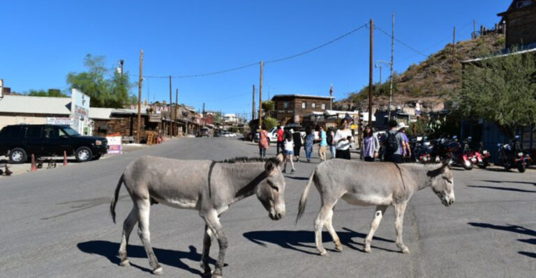 Discover This Eccentric Arizona Ghost Town Famous For Its Friendly Wild Donkeys