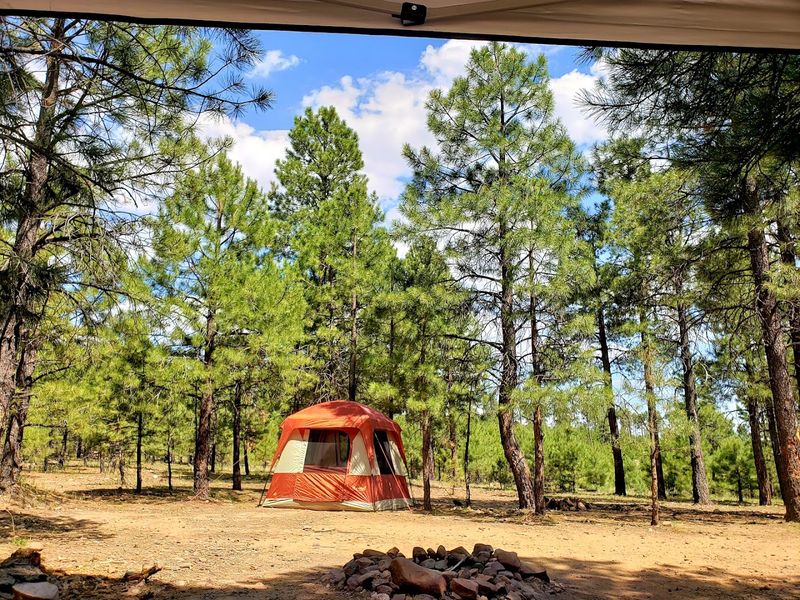 Dispersed Camping With Real Privacy Dispersed Camping With Real Privacy