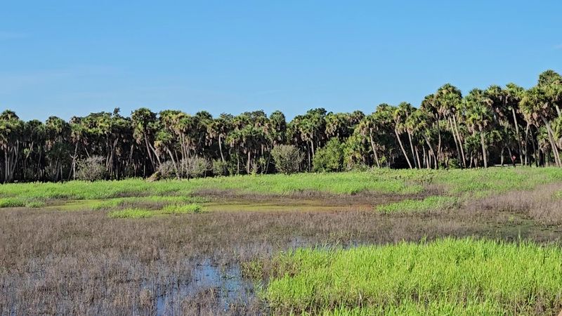 Diverse Ecosystems Within One Park Diverse Ecosystems Within One Park