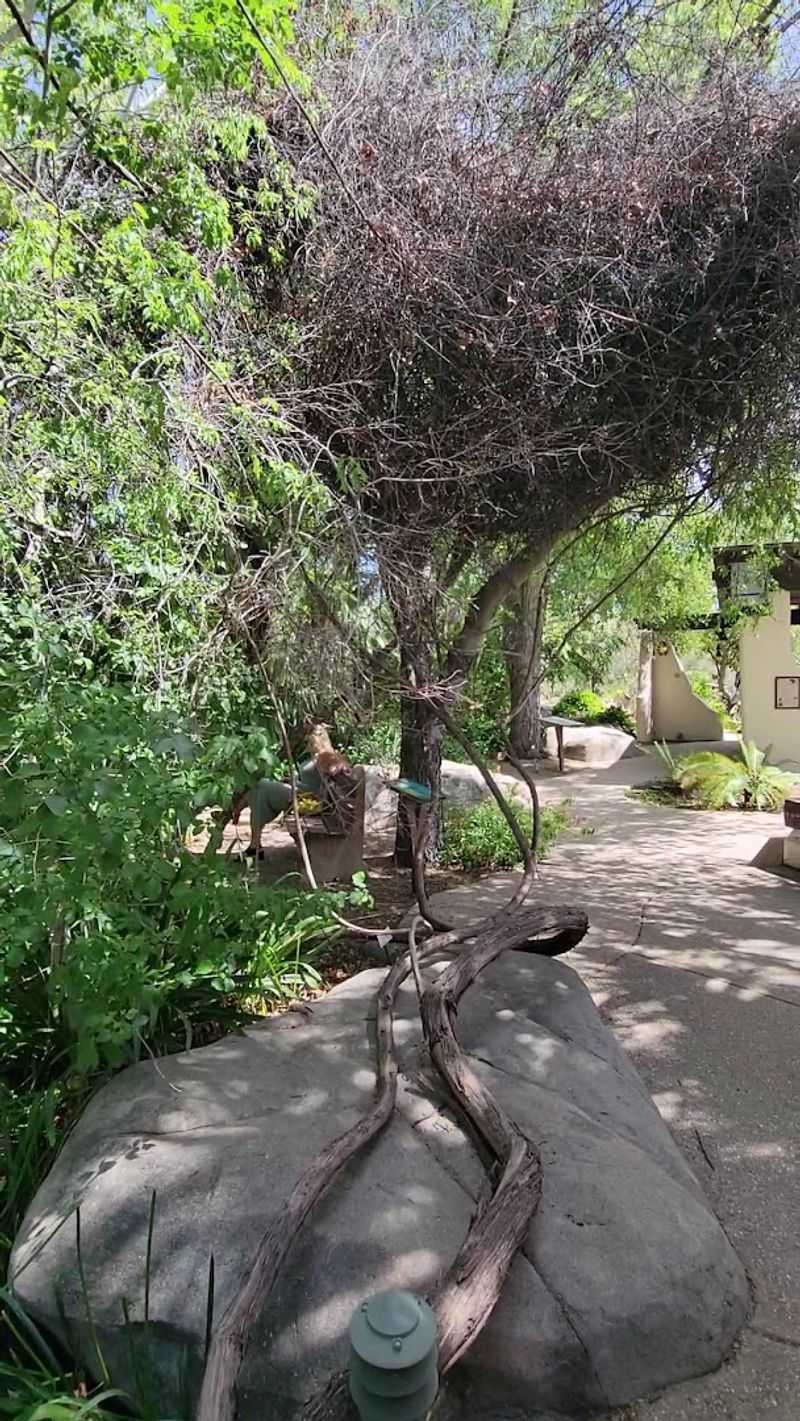 Docent-Led Tours That Blend Art and Science Docent-Led Tours That Blend Art and Science
