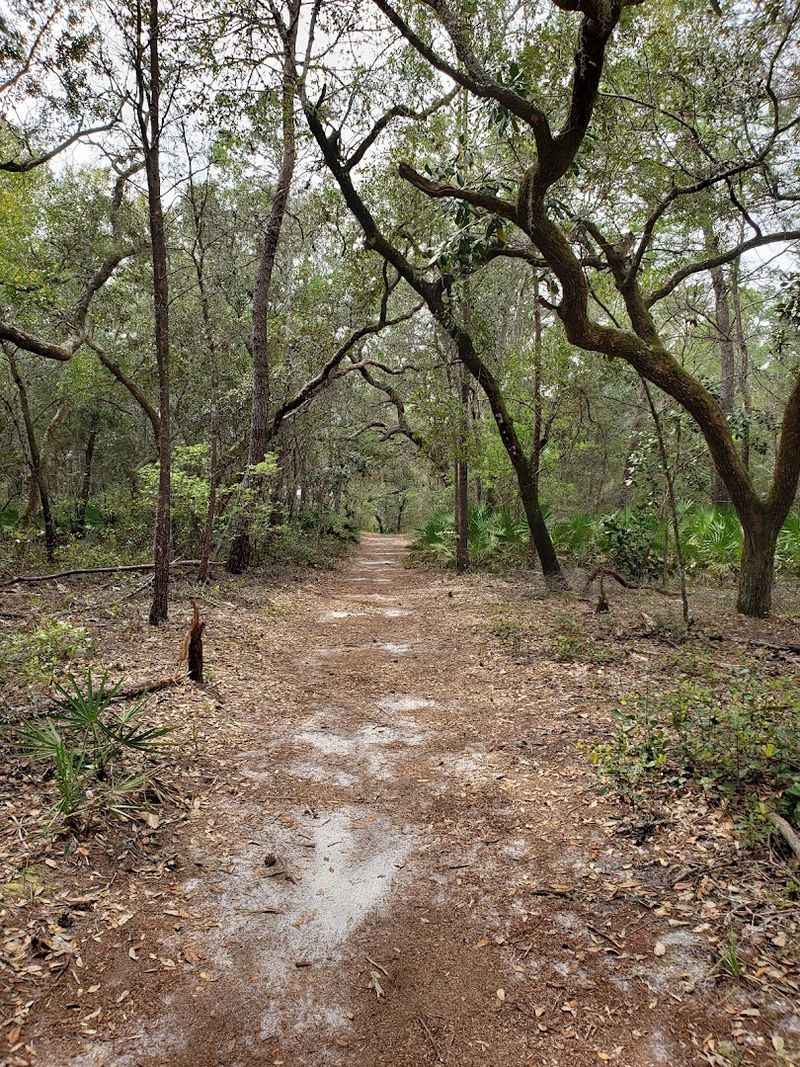 Dog-Friendly Adventures Along the Trail Dog-Friendly Adventures Along the Trail