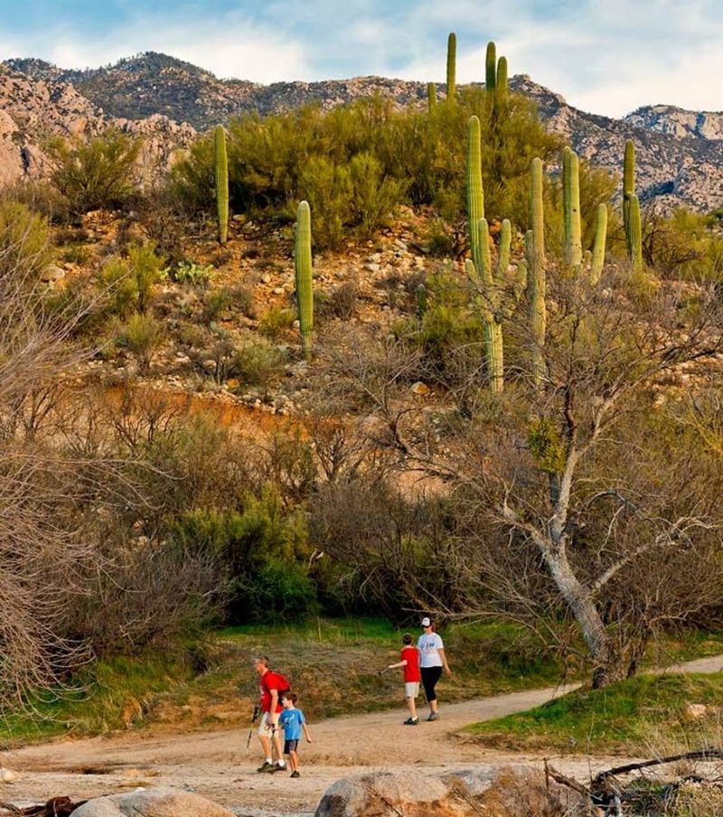 Dog-Friendly Adventures Await