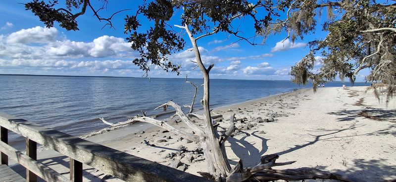 Dog-Friendly Beach That Pets Absolutely Love