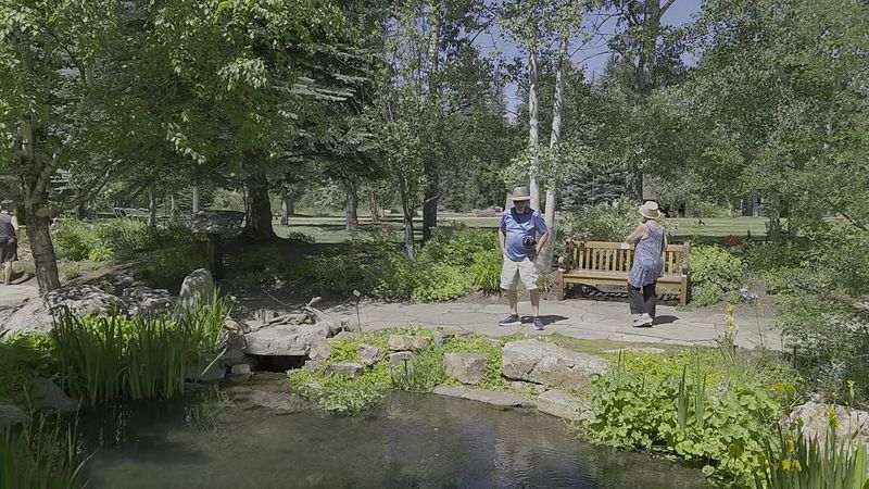 Dog-Friendly Grounds That Welcome Four-Legged Visitors