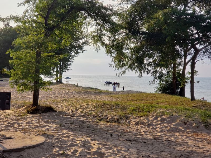 Dog-Friendly Park Grounds for Your Furry Beach Buddy Dog-Friendly Park Grounds for Your Furry Beach Buddy