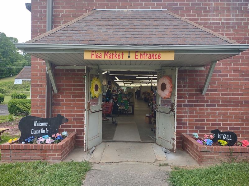 Dog-Friendly Shopping That the Whole Family Enjoys