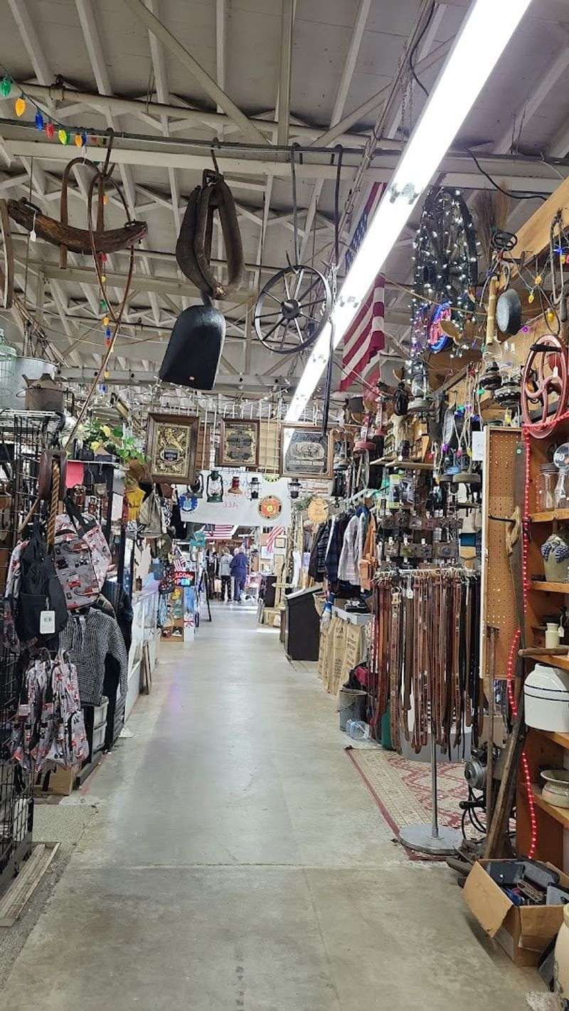 Dog-Friendly Shopping for Four-Legged Companions