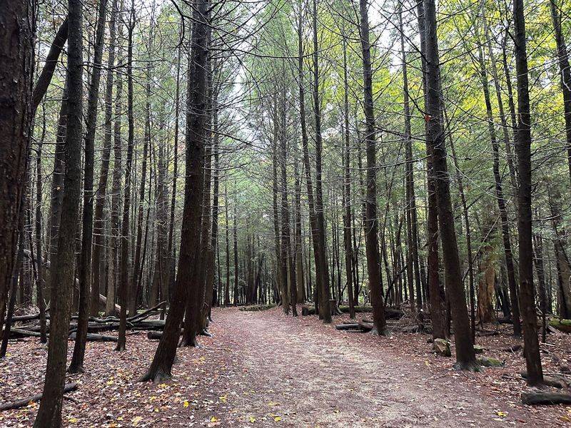 Dog-Friendly Trail Details Every Pet Owner Should Know Dog-Friendly Trail Details Every Pet Owner Should Know