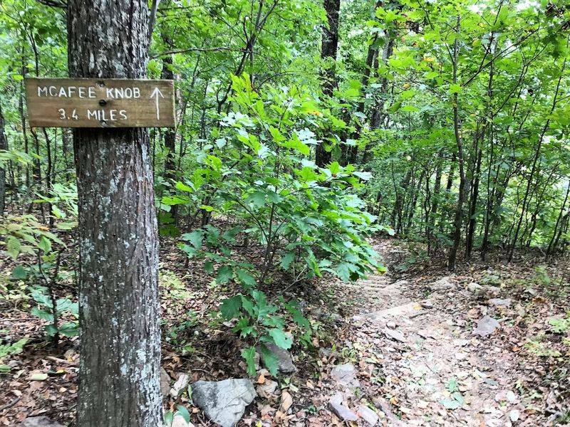 Dog-Friendly Trail Tips for Furry Hiking Companions