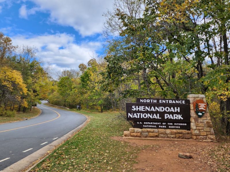 Dog-Friendly Trails: Four-Legged Family Members Welcome Dog-Friendly Trails: Four-Legged Family Members Welcome