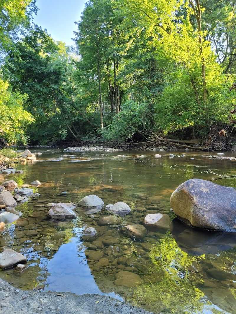 Dog-Friendly Trails That Pups Adore
