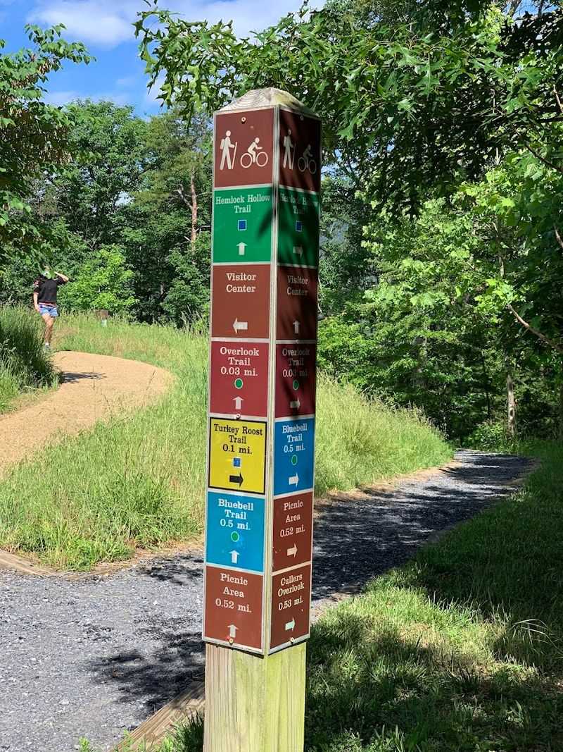 Dog-Friendly Trails With a Bark Ranger Program