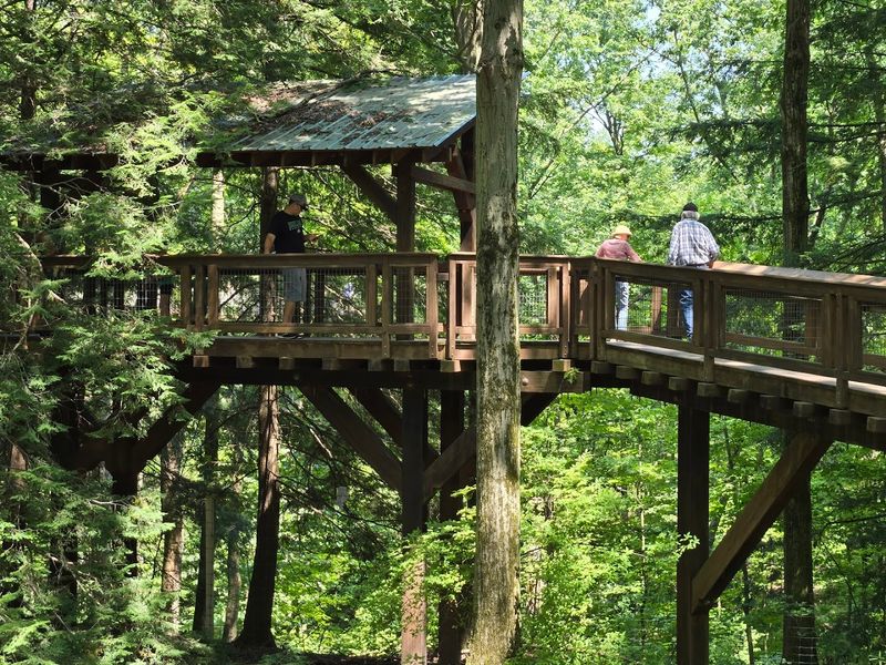 Dog-Friendly Trails and Family-Friendly Fun