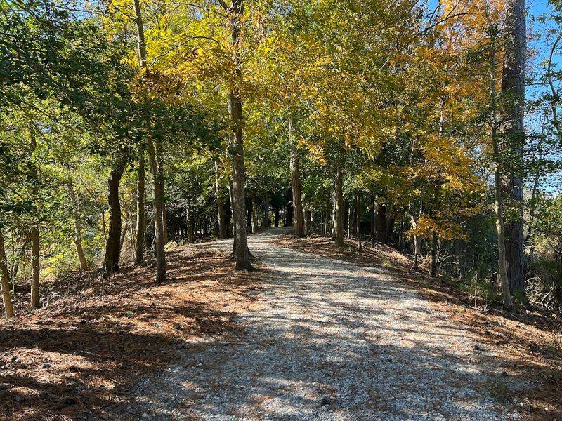 Dog-Friendly Trails and a Dedicated Dog Park