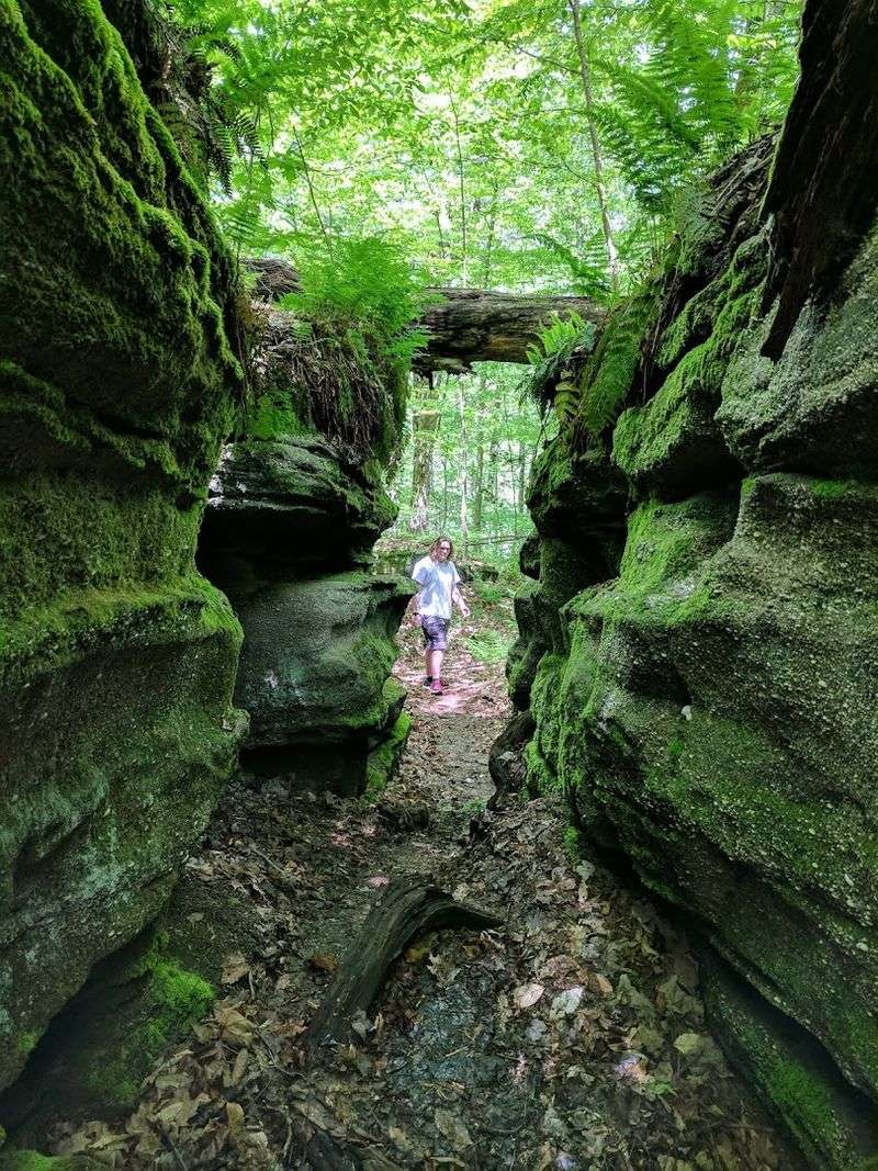 Dog-Friendly Trails for Four-Legged Adventurers