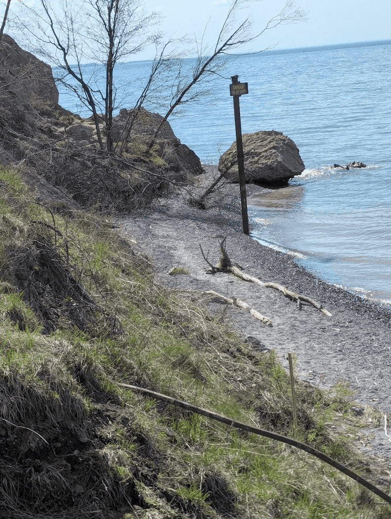 Dragon Beach and Its Driftwood Wonderland Dragon Beach and Its Driftwood Wonderland