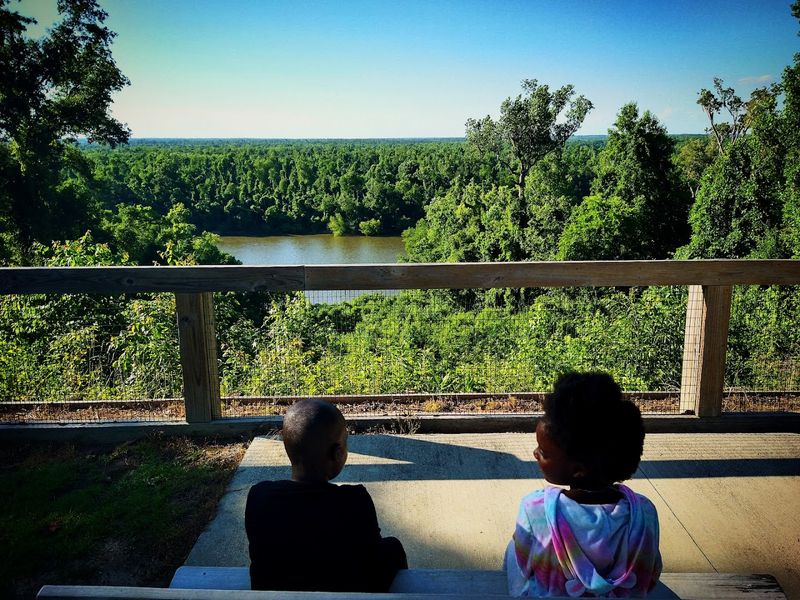 Dramatic Bluff Views Above the Apalachicola River Dramatic Bluff Views Above the Apalachicola River