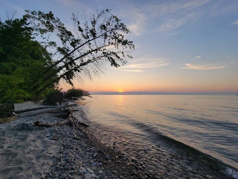 Driftwood and Natural Beauty Along the Shoreline