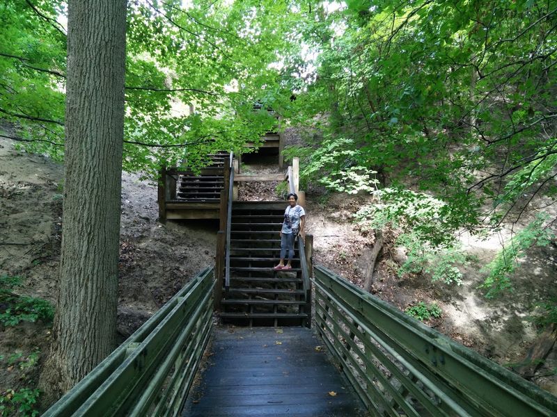 Dune Trails That Reward Every Step You Take
