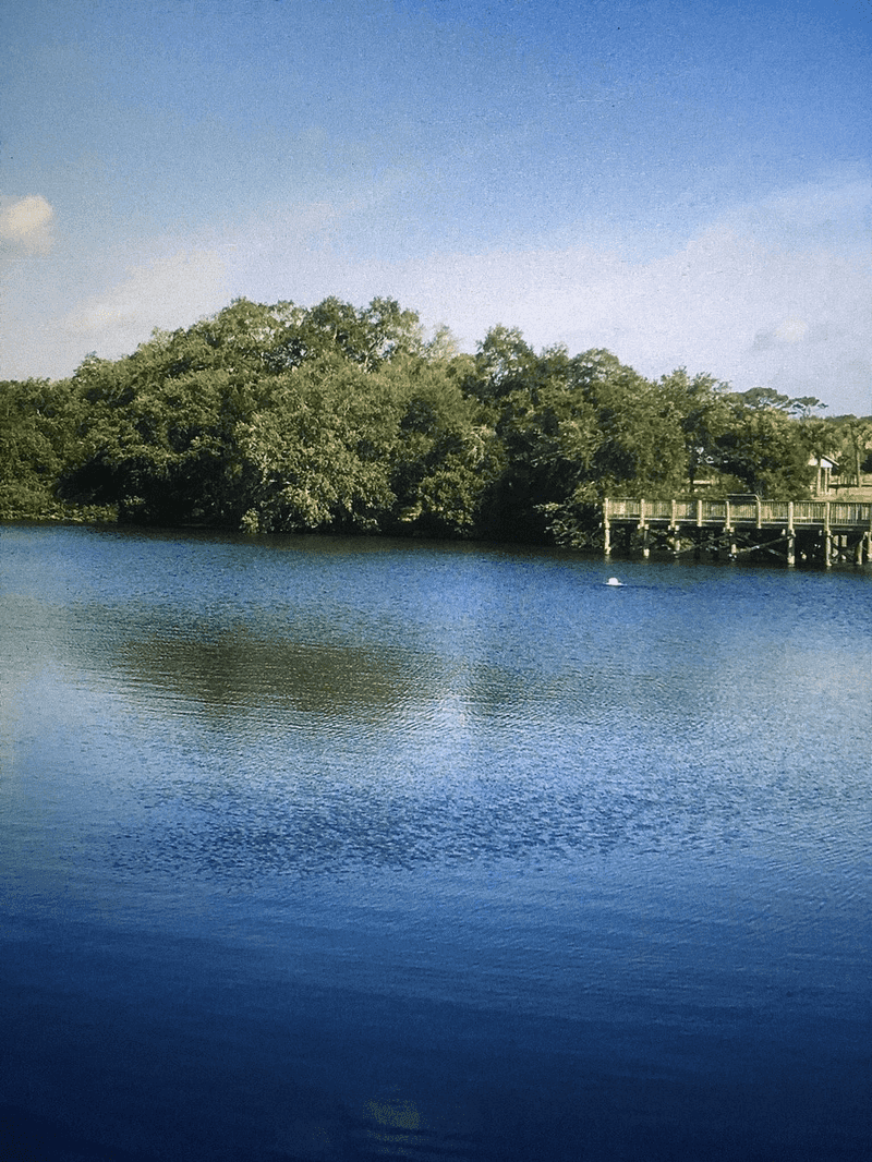 Eagle Lake Itself: A Natural Gem Right Outside Your Door