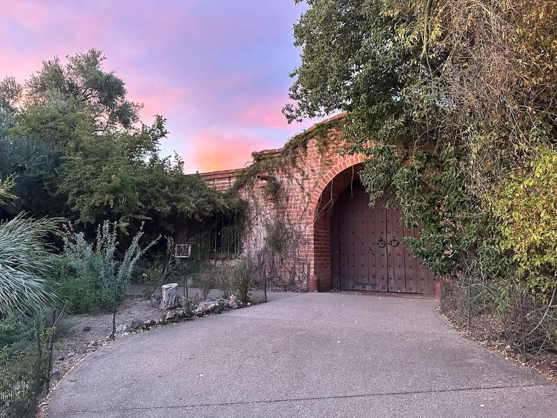 Early Morning Visits That Feel Like Pure Magic