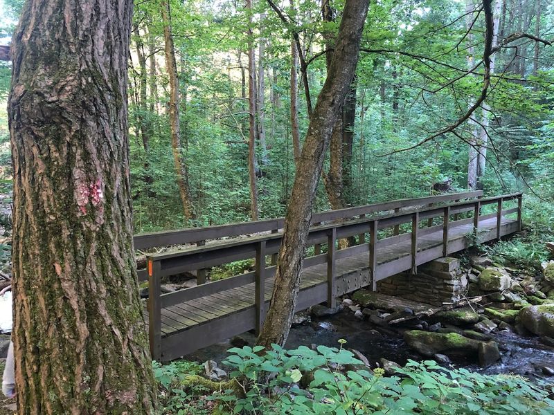 Easy Access from Williamsport and Lock Haven