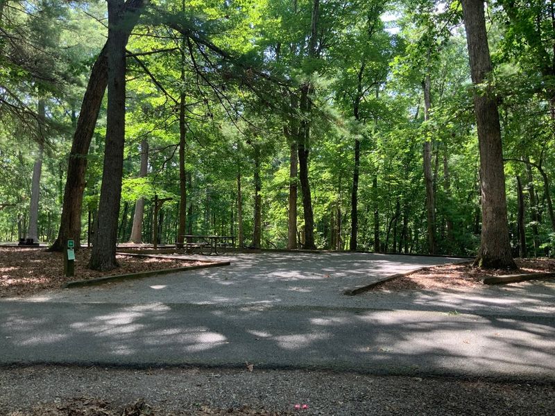 Easy Highway Access That Makes It Surprisingly Convenient