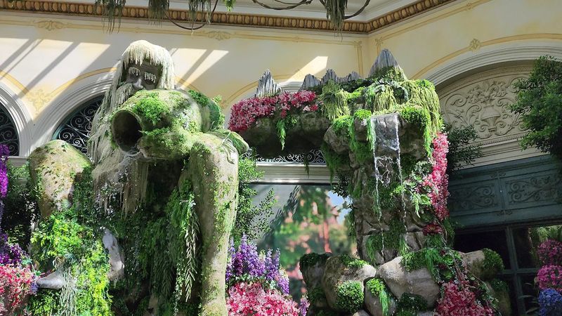 Eco-Friendly Fountains Powered by Recycled Rainwater
