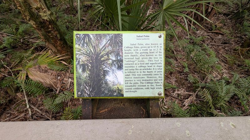 Educational Placards That Make Nature Come Alive Educational Placards That Make Nature Come Alive