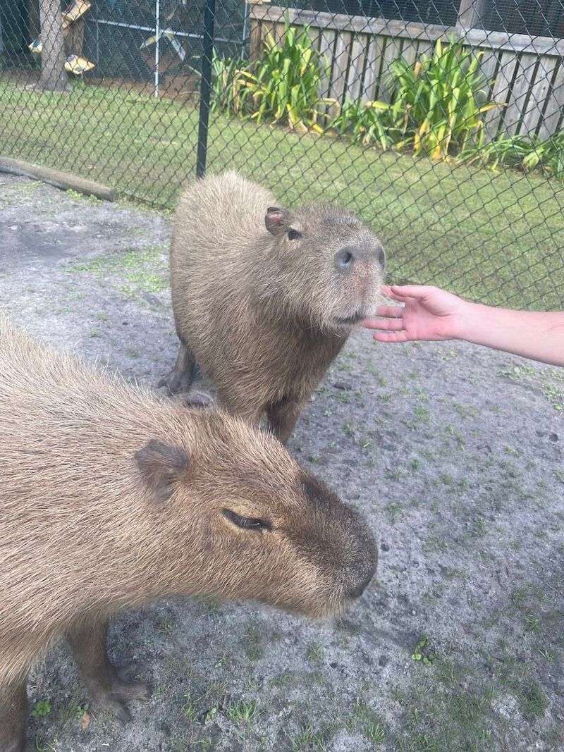Educational Value That Goes Far Beyond the Animals