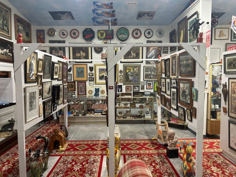 Egyptian Cat History Section That Rivals Big City Museums