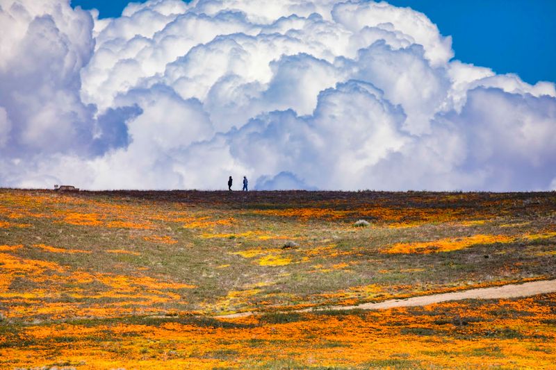 Eight Miles Of Trails That Wind Through Wildflower Heaven Eight Miles Of Trails That Wind Through Wildflower Heaven